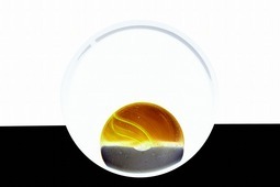 Uber Exif Photo