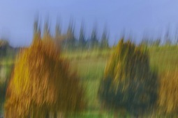 Uber Exif Photo