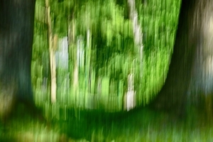 Uber Exif Photo