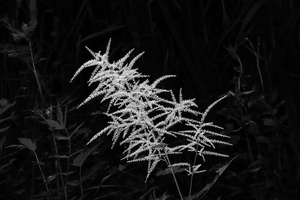 Uber Exif Photo