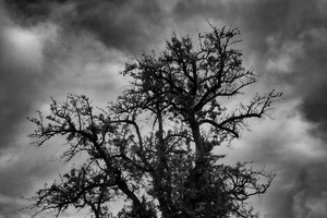 Uber Exif Photo