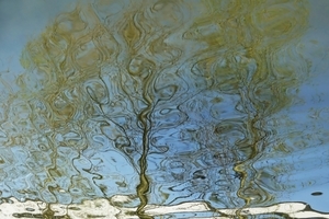Uber Exif Photo