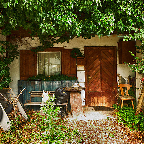 Photo ID 345546