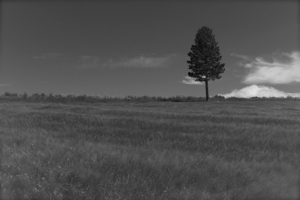 Uber Exif Photo
