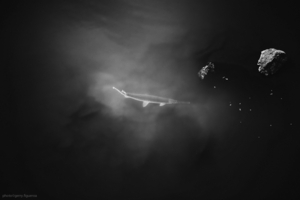 Uber Exif Photo