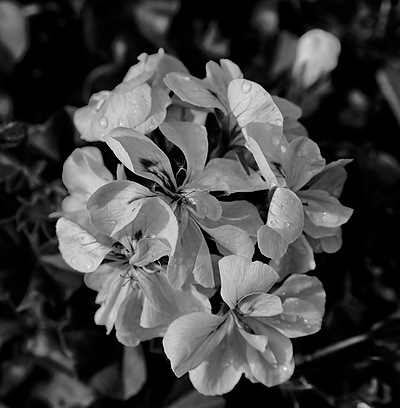 Uber Exif Photo