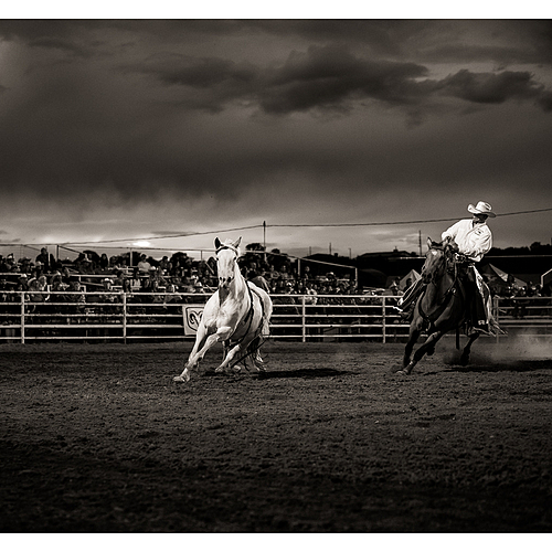 Photo ID 543782
