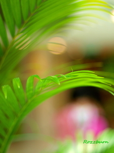 Uber Exif Photo