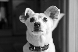 Uber Exif Photo