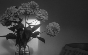 Uber Exif Photo