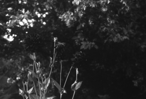 Uber Exif Photo