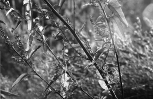 Uber Exif Photo