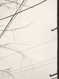 Uber Exif Photo