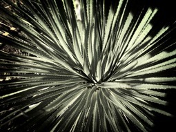 Uber Exif Photo