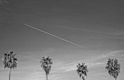 Uber Exif Photo