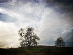 Uber Exif Photo