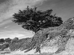 Uber Exif Photo