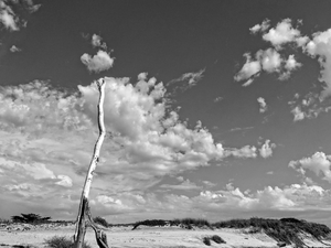 Uber Exif Photo