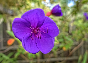 Uber Exif Photo