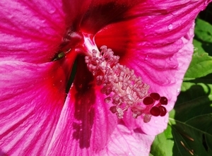 Uber Exif Photo