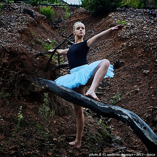 Photo ID 343869