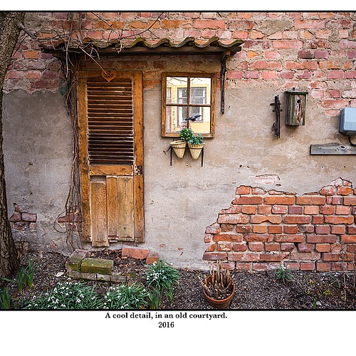 Photo ID 355667