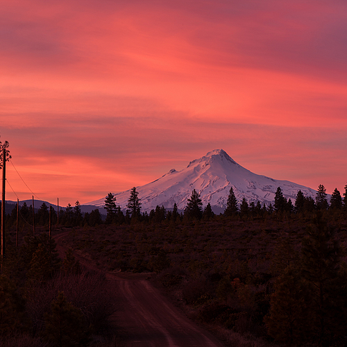 Photo ID 542472