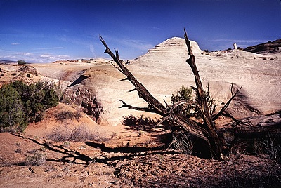 Uber Exif Photo