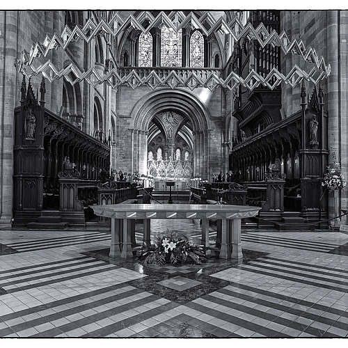 Photo ID 540735