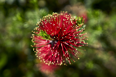 Uber Exif Photo