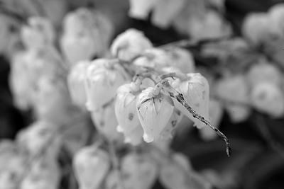 Uber Exif Photo