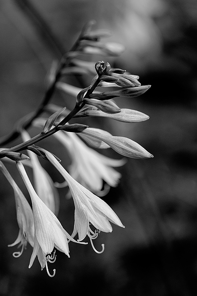 Uber Exif Photo