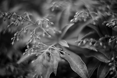Uber Exif Photo