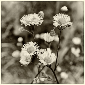 Uber Exif Photo