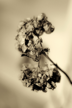Uber Exif Photo