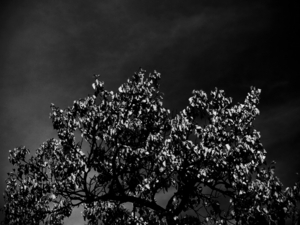 Uber Exif Photo