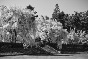 Uber Exif Photo