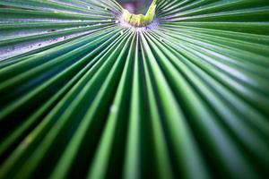 Uber Exif Photo