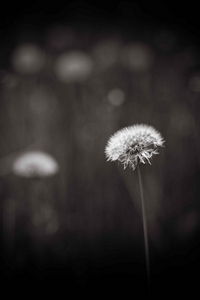Uber Exif Photo