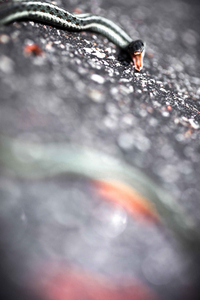 Uber Exif Photo
