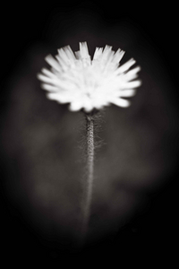 Uber Exif Photo