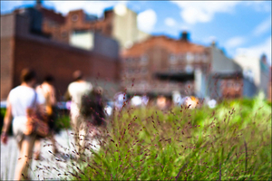Uber Exif Photo