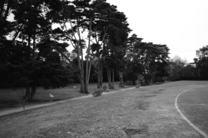 Uber Exif Photo
