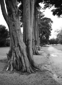 Uber Exif Photo