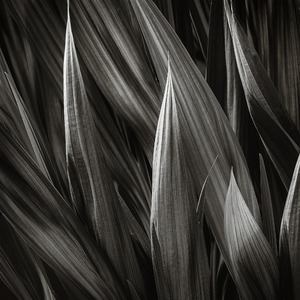 Uber Exif Photo