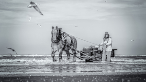 Uber Exif Photo
