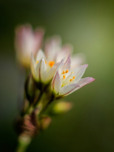 Uber Exif Photo