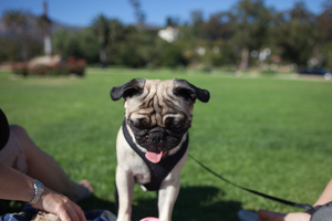 Uber Exif Photo