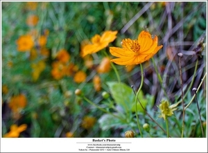 Uber Exif Photo