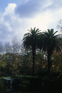 Uber Exif Photo